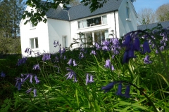bluebells-alder-cottage